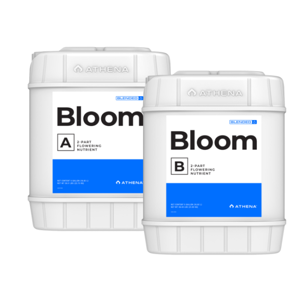 ATHENA Bloom A+B, 18,9 Liter
