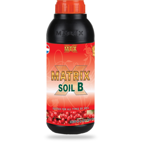 MATRIX Starterskit Soil A+B Xtreme