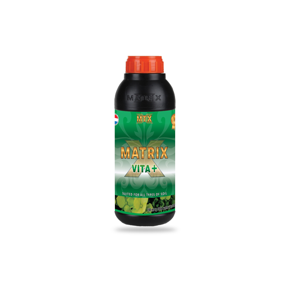 MATRIX Starterskit Soil A+B Xtreme