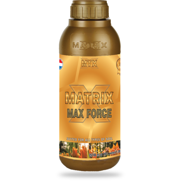 MATRIX Starterskit Soil A+B Xtreme