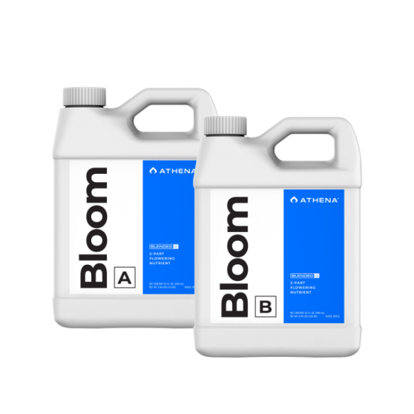 ATHENA Bloom A+B, 3,79 Liter